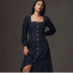 NWT- New Reformation Celeste Denim Maxi Dress by Anthropologie